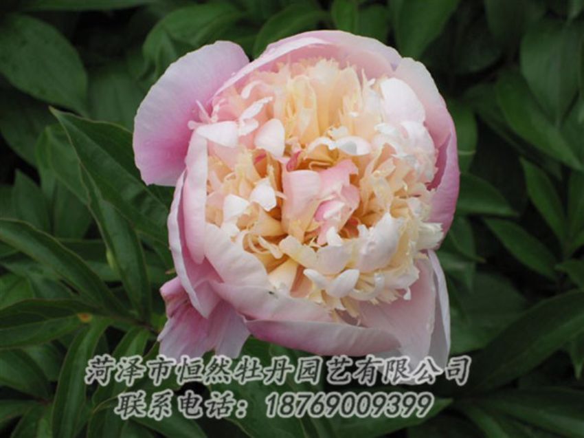 點擊查看詳細信息<br>標題：湖光山色 閱讀次數(shù)：1251