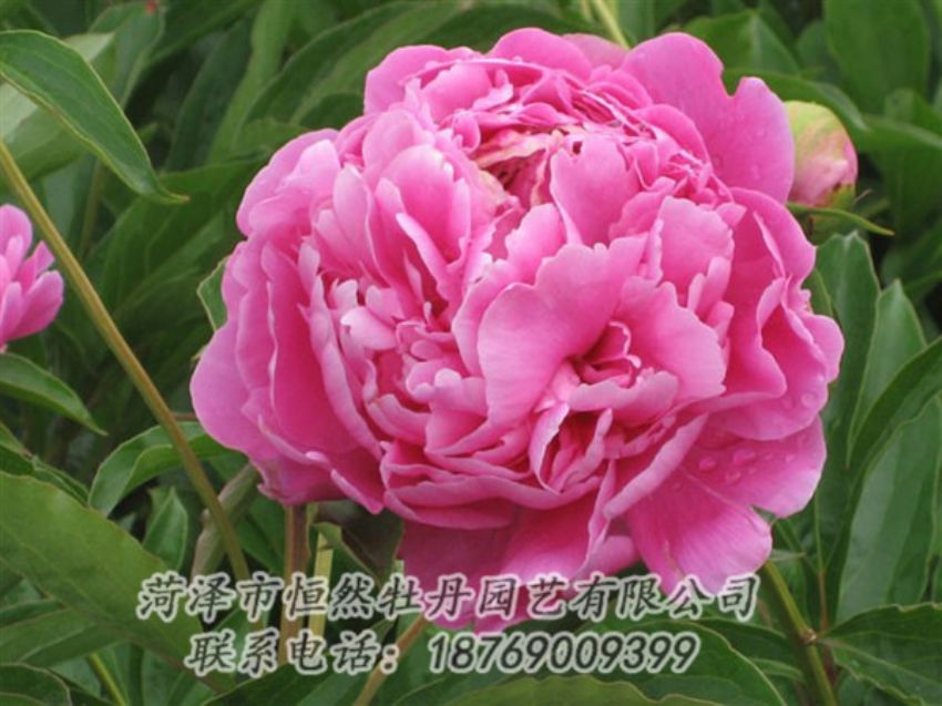 點(diǎn)擊查看詳細(xì)信息<br>標(biāo)題：月照山河 閱讀次數(shù)：1043
